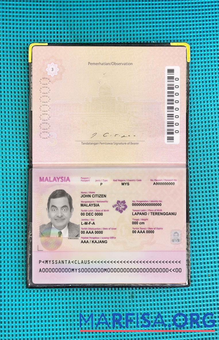 Downloadable Malaysia passport (2010 2017) photo look real example
